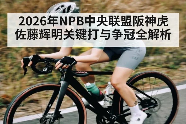 2026年NPB中央联盟阪神虎佐藤辉明关键打与争冠全解析